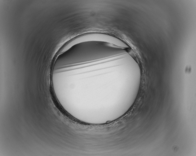 X0000096190011200802151513