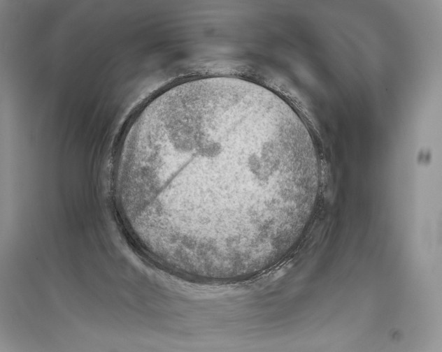 X0000096190012200802151513