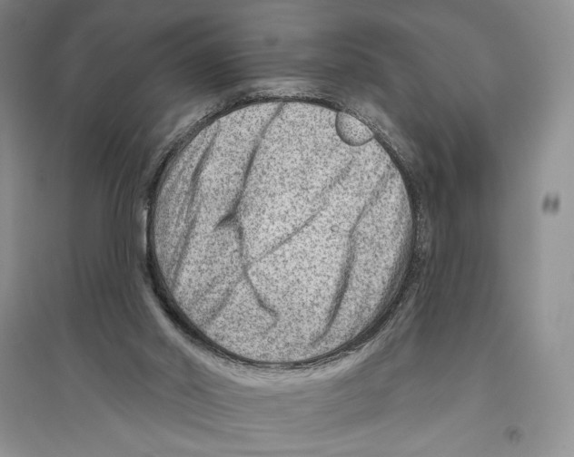 X0000096190014200802151513