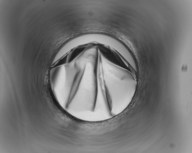 X0000096190017200802151513