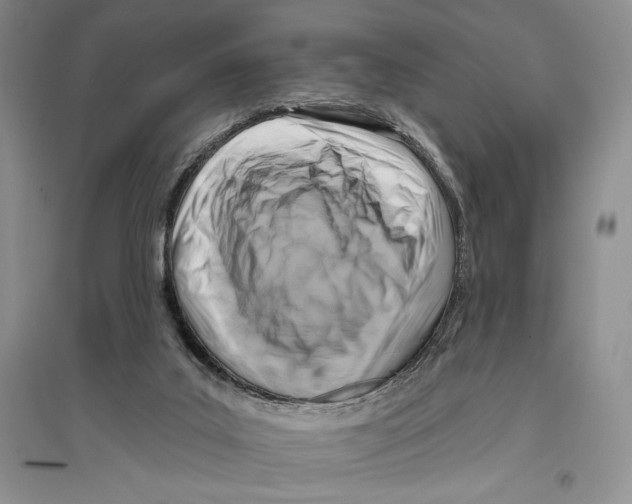 X0000096190019200802151513