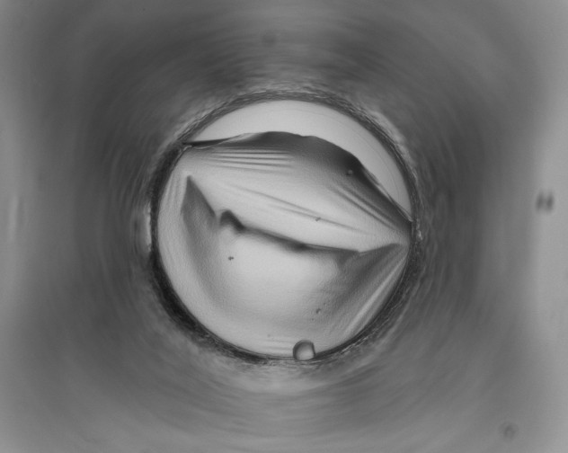 X0000096190020200802151513