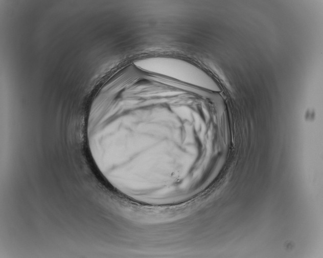 X0000096190023200802151513