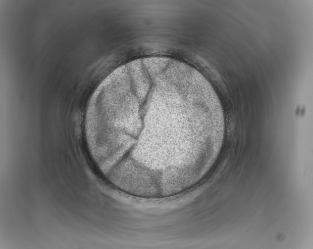 X0000096190026200802151513