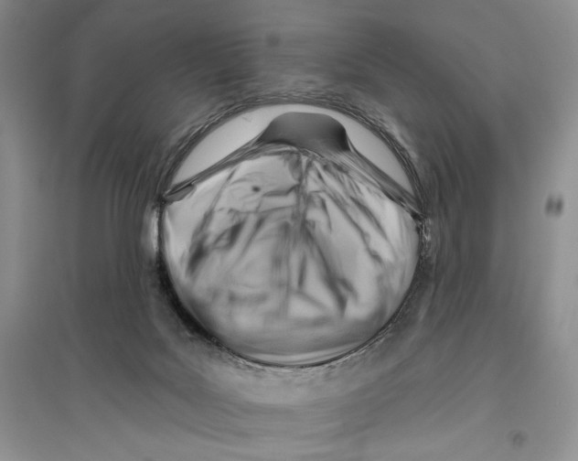 X0000096190027200802151513