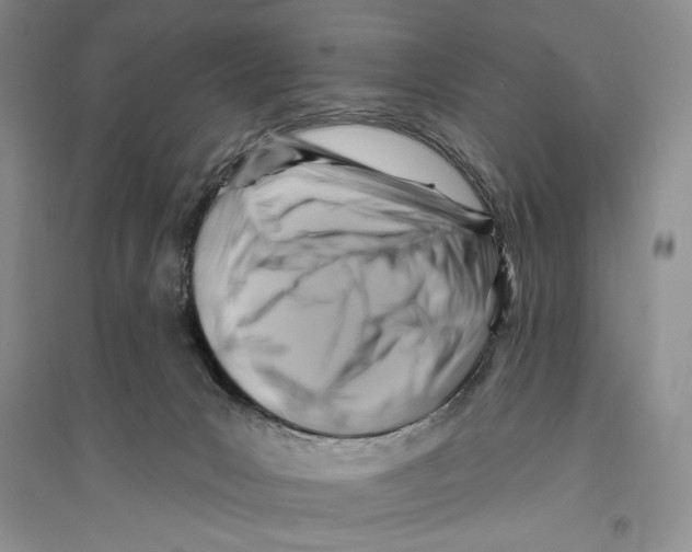 X0000096190031200802151513