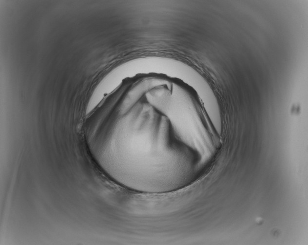 X0000096190033200802151513