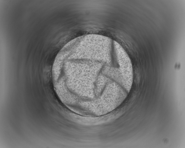 X0000096190034200802151513