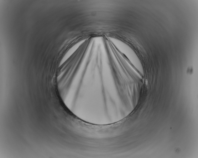 X0000096190035200802151513