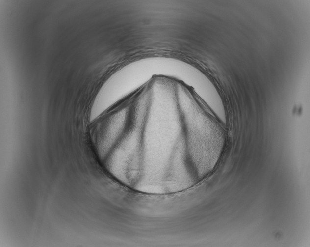 X0000096190037200802151513