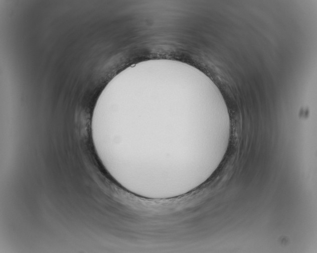 X0000096190038200802151513