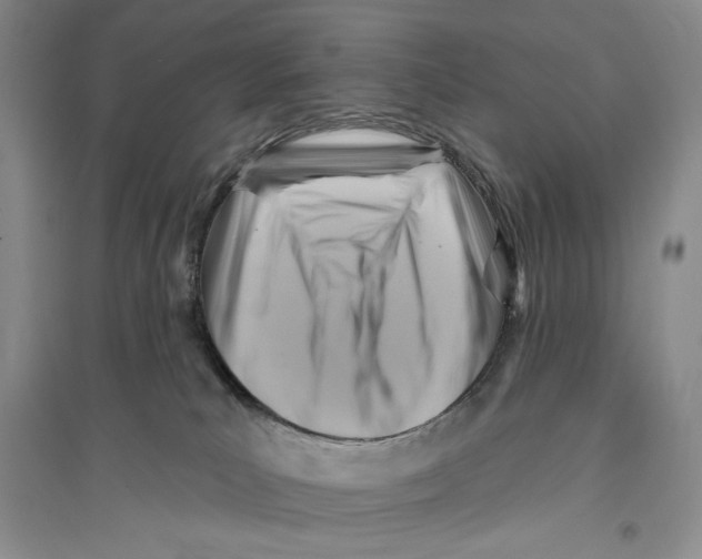 X0000096190039200802151513