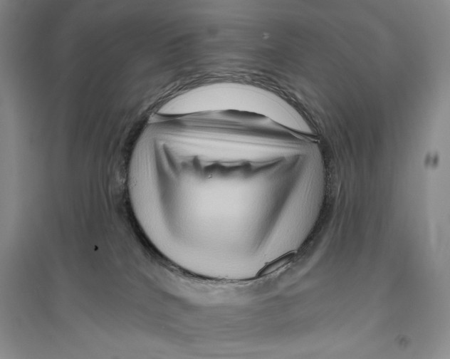 X0000096190040200802151513