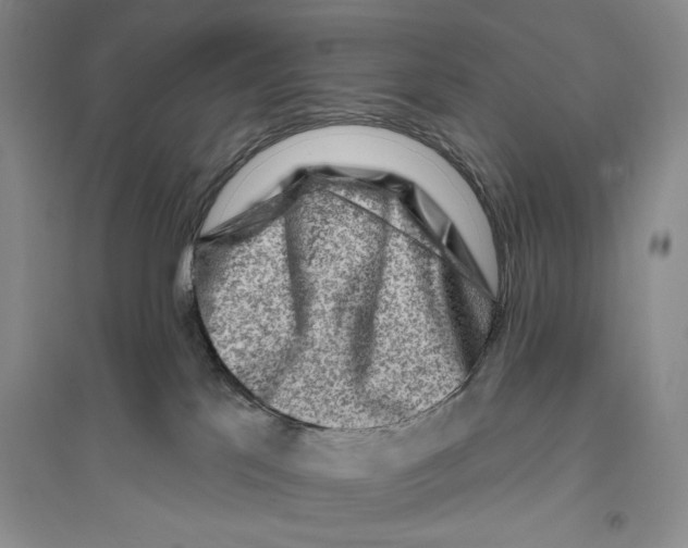 X0000096190041200802151513