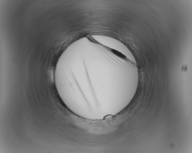 X0000096190042200802151512