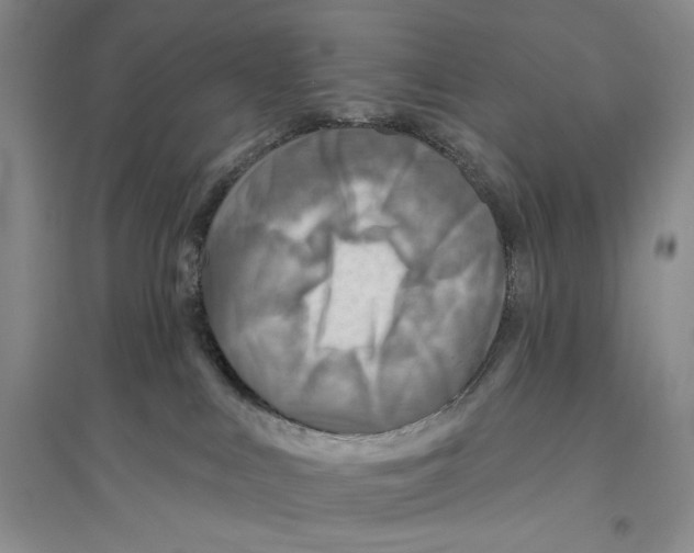 X0000096190043200802151512