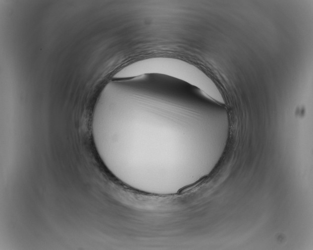 X0000096190044200802151512