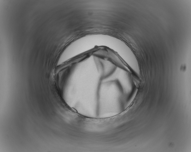 X0000096190045200802151512