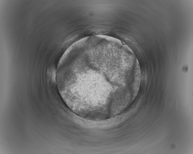 X0000096190046200802151512