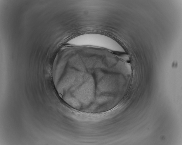 X0000096190048200802151512