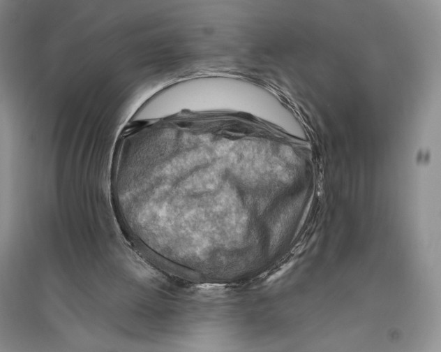 X0000096190052200802151512