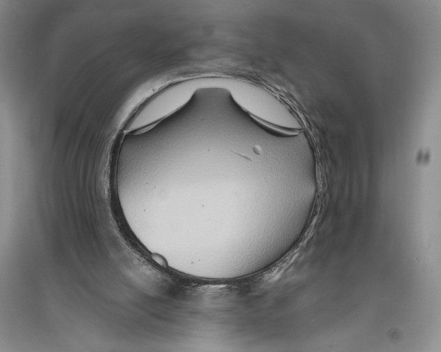 X0000096190054200802151512