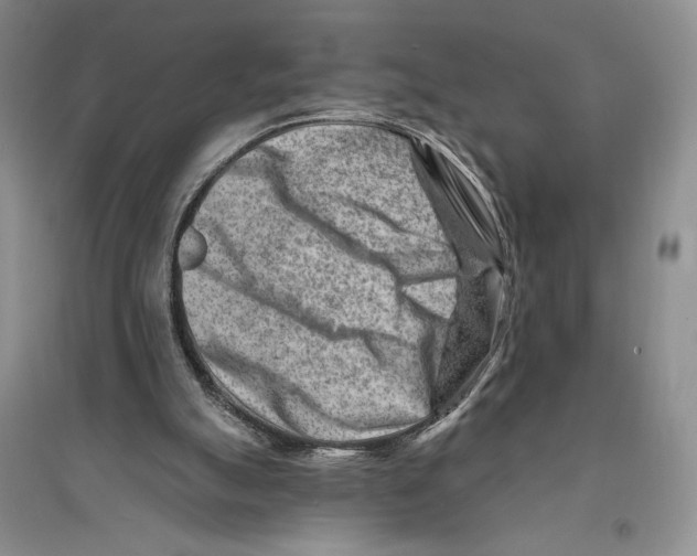 X0000096190055200802151512