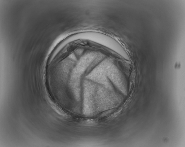 X0000096190056200802151512