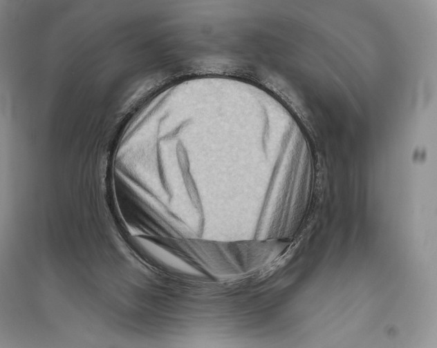 X0000096190058200802151512