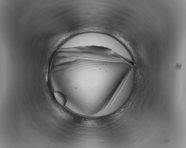 X0000096190062200802151512