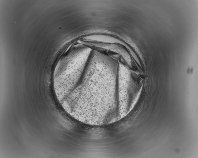 X0000096190063200802151512