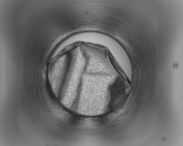 X0000096190064200802151512