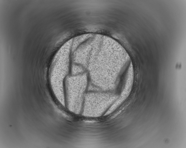 X0000096190066200802151512