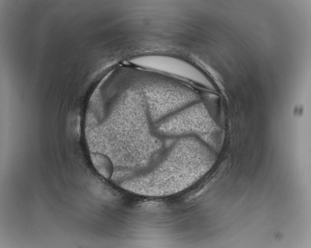 X0000096190067200802151512