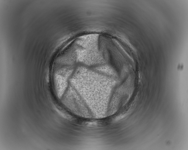 X0000096190068200802151512