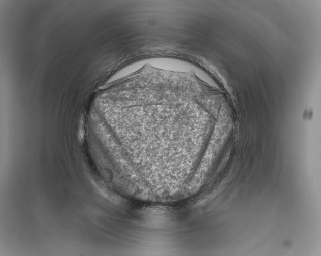 X0000096190069200802151512