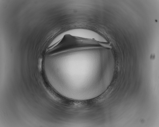 X0000096190070200802151512