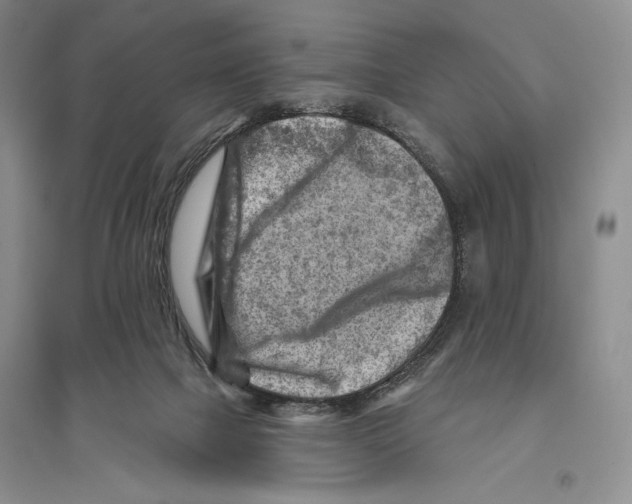 X0000096190073200802151512