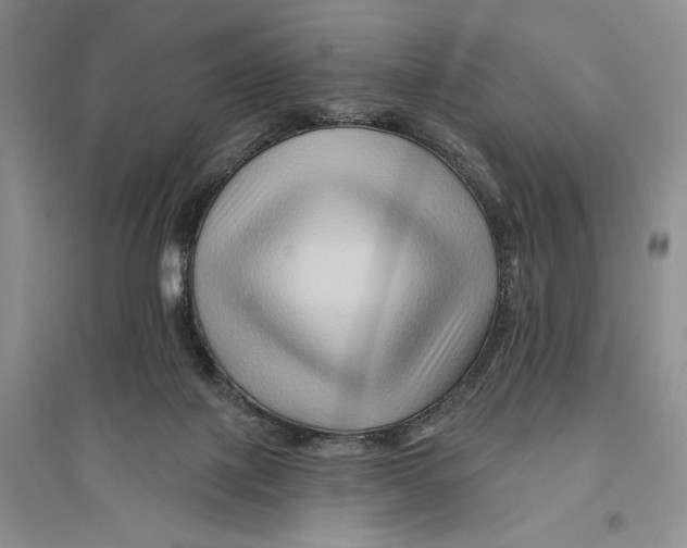 X0000096190075200802151512