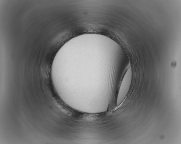 X0000096190078200802151512