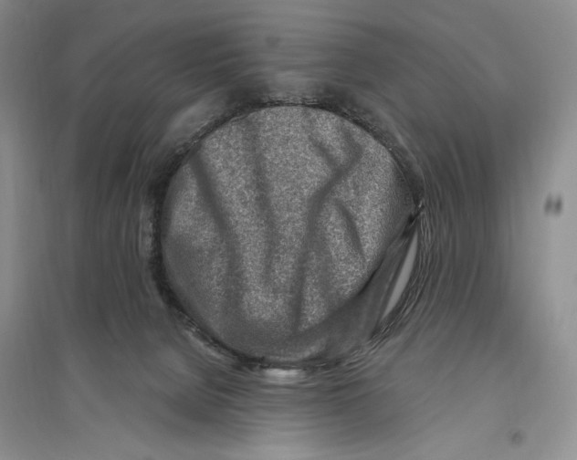 X0000096190080200802151512