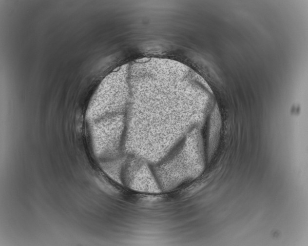 X0000096190081200802151512