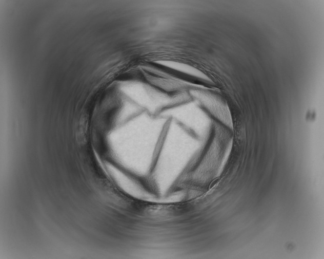 X0000096190082200802151512