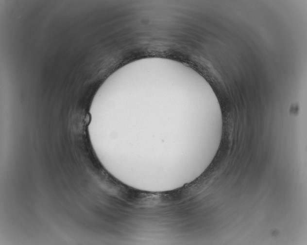 X0000096190083200802151512