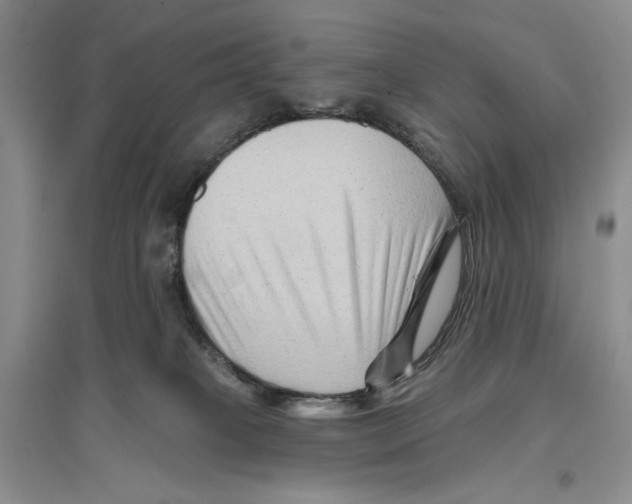 X0000096190085200802151512