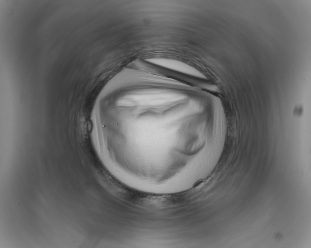 X0000096190086200802151512