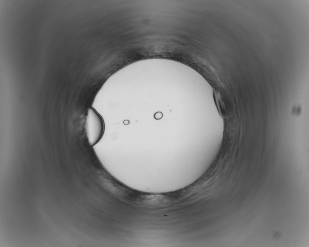 X0000096190087200802151512