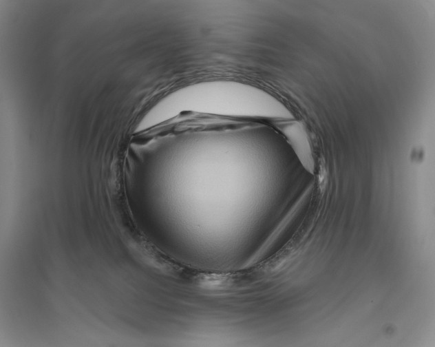 X0000096190088200802151512