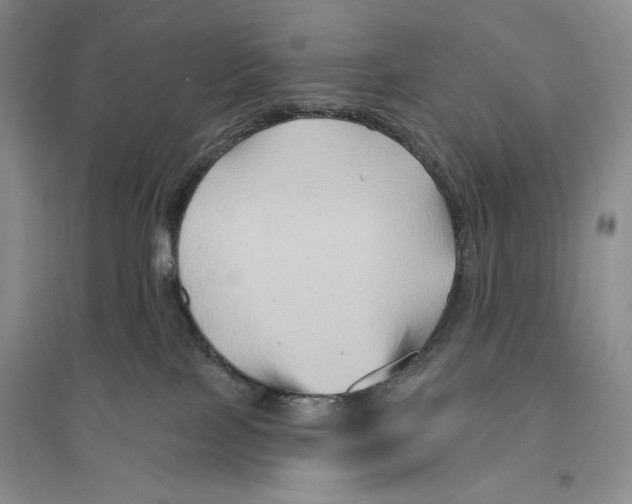 X0000096190089200802151512