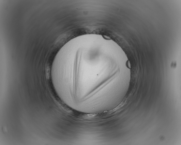 X0000096190090200802151512